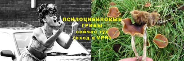 ГАЛЛЮЦИНОГЕННЫЕ ГРИБЫ Дмитровск