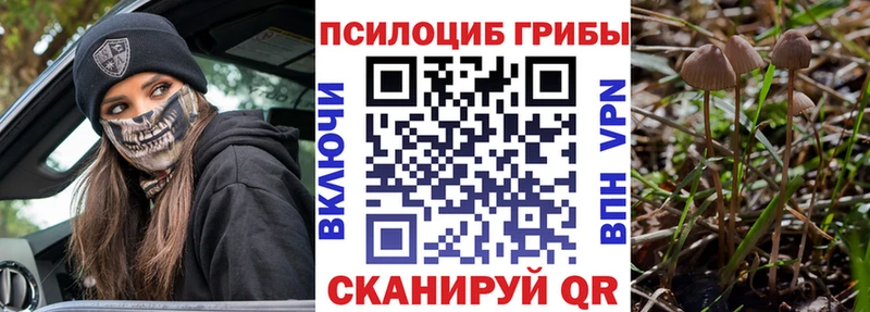 Псилоцибиновые грибы ЛСД  Далматово 